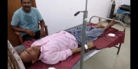 <p>फूल तोड़ने की क्रम में एक युवक को सांप ने डसा सांप की मौत</p>